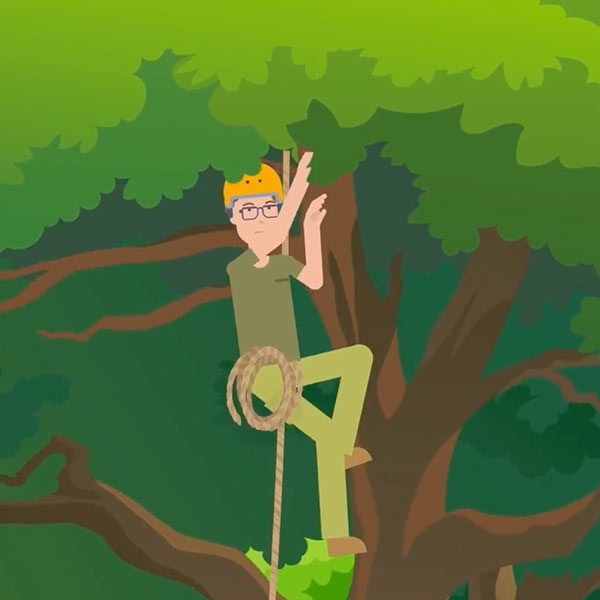 Video Motion - Ivan Guillot - Vegetal d'ici